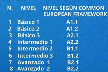 Niveles de nuestros cursos